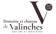 Château de Valinche